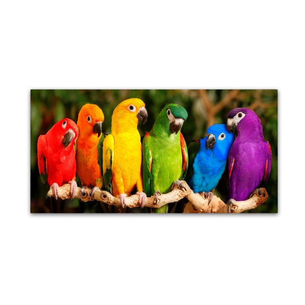 Trademark Fine Art mike Jones Photo x27 rainbow Parrots x27 Canvas Art