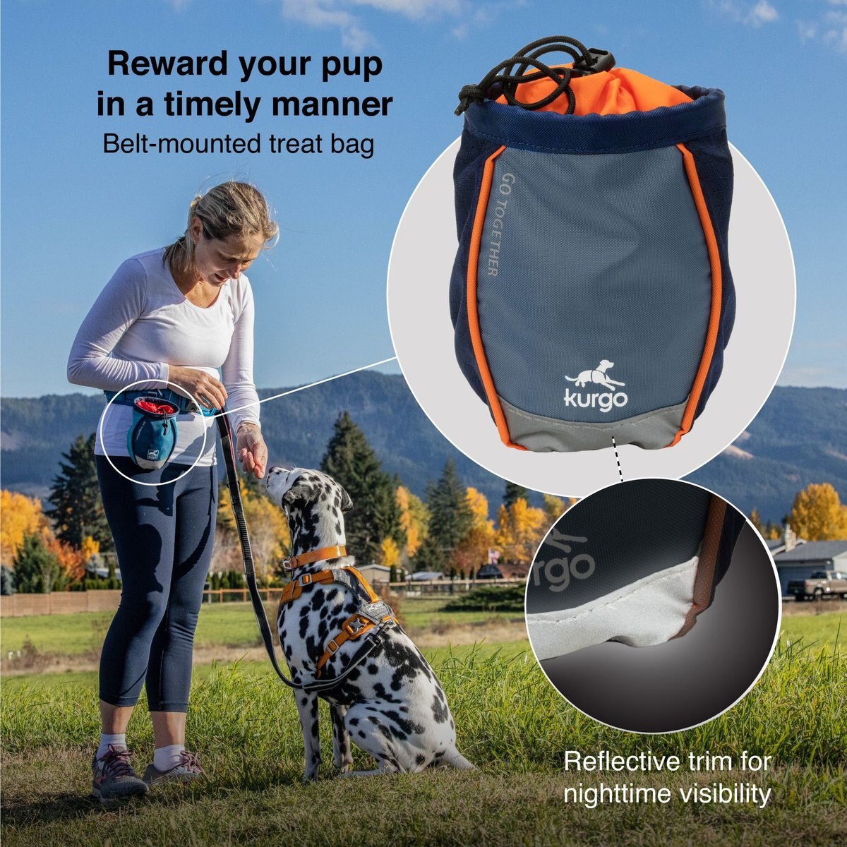 Kurgo Go Stuff-It Dog Treat Bag