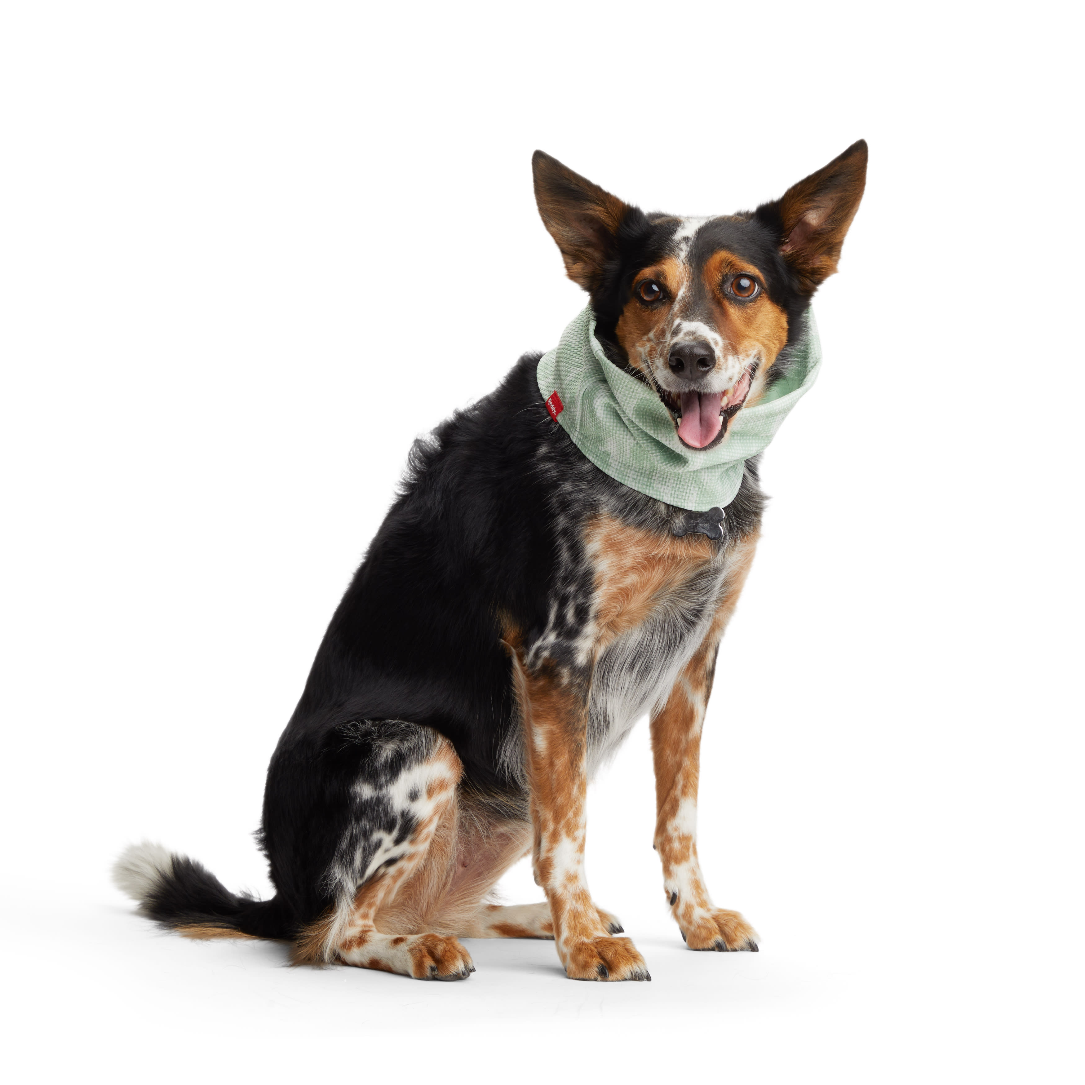 Reddy Green Neck Gaiter for Dogs， X-Small/Small