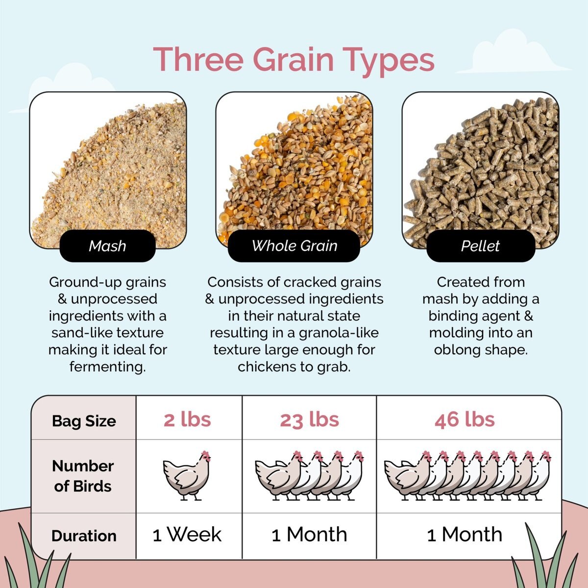 Mile Four 16% Organic Mash Layer Chicken and Duck Feed