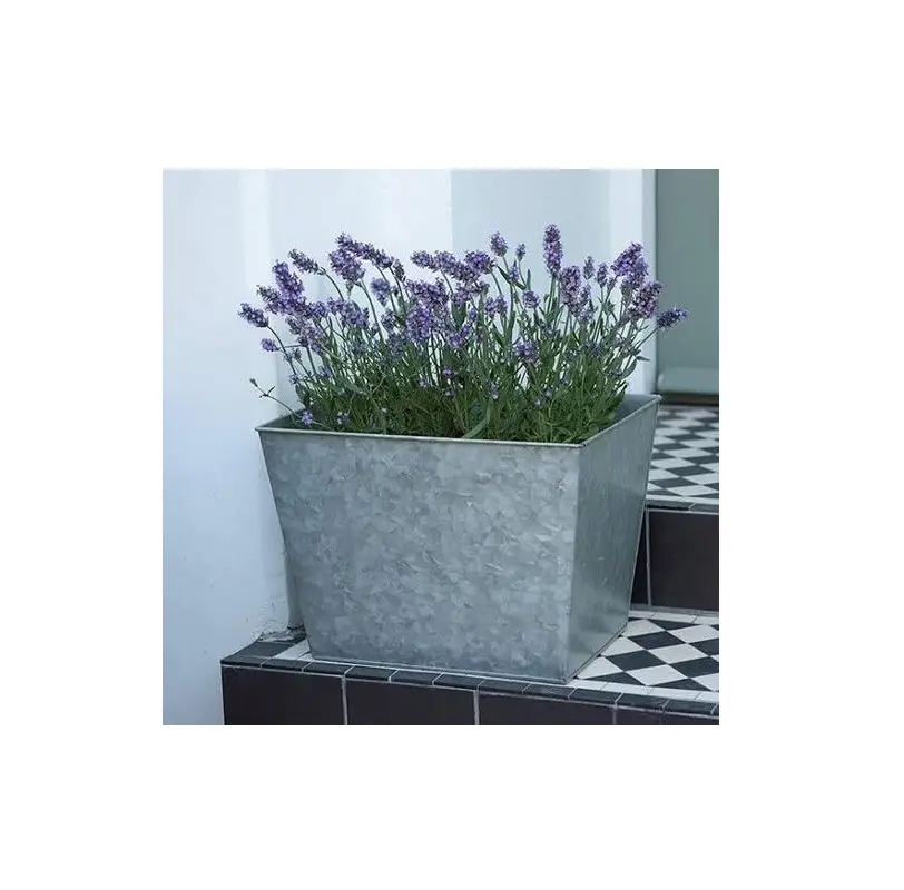 2023 Hot Seller Galvanized Antique Metal  Purpose Planter For Home and Garden Use Luxury Vase Modern Planter Bucket