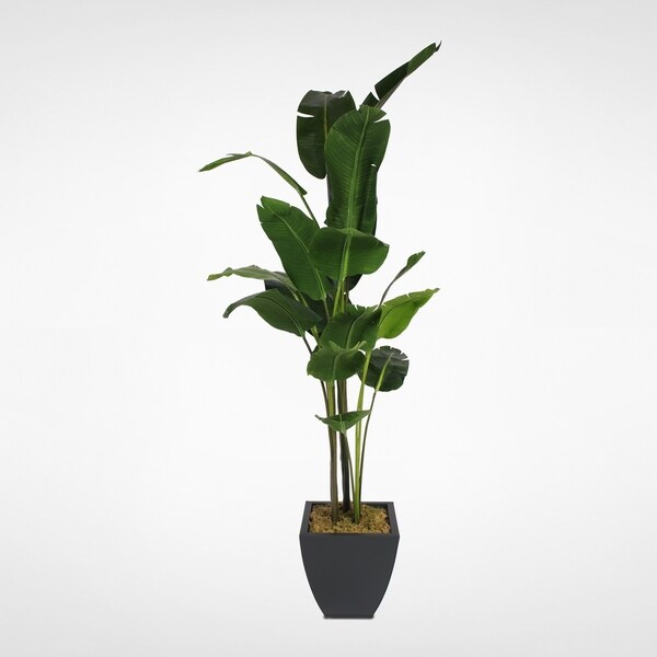 8' Artificial Birds of Paradise Plant in a Black Metal Pot