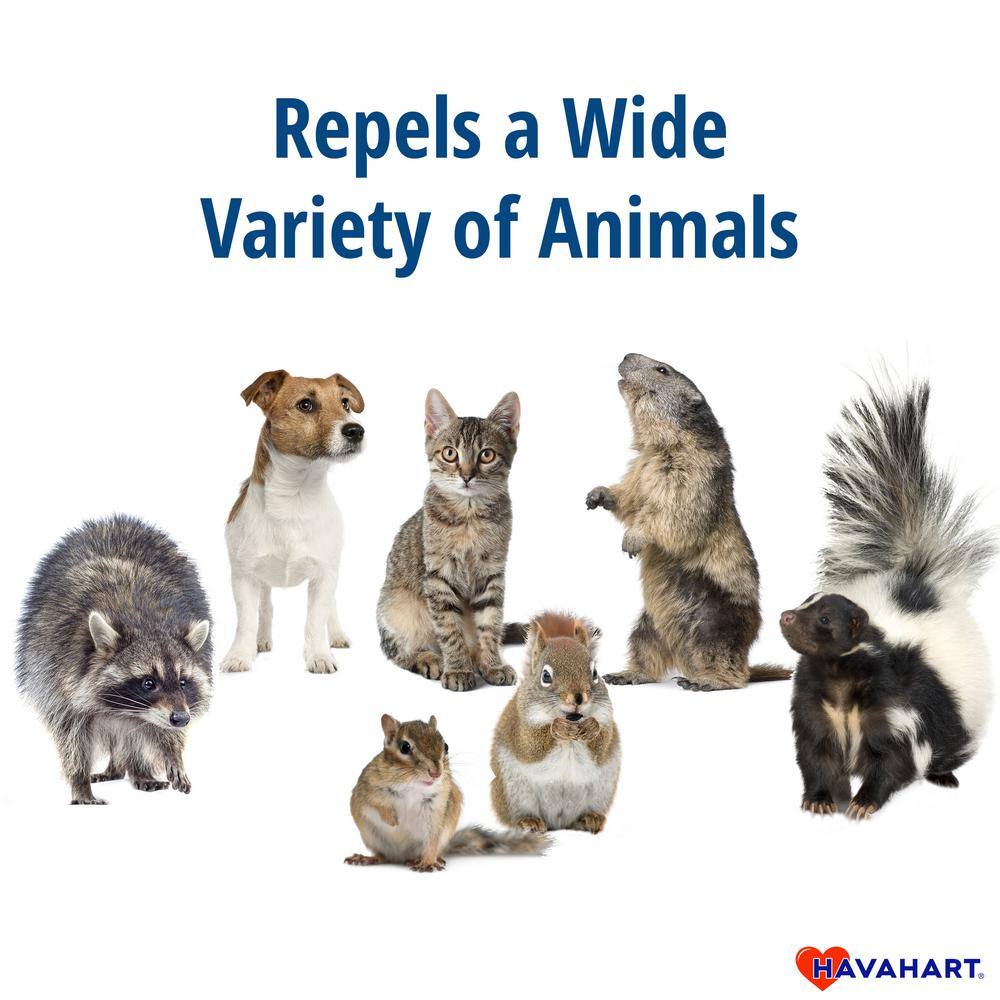 Havahart Critter Ridder 2 lb. Animal Repellent Granules 3142-HD