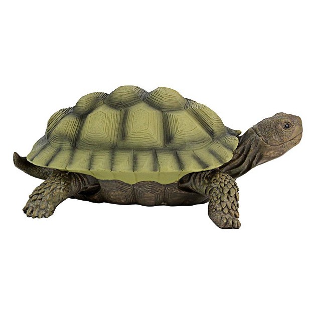 Design Toscano Gilbert The Box Turtle Statues Set Of Two