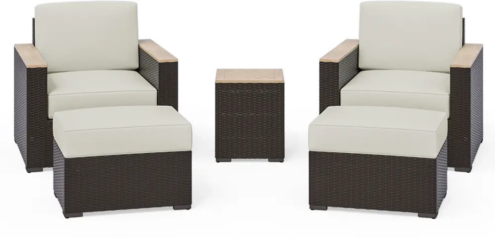 Palm Springs Brown 5 Piece Outdoor Arm Chair Set