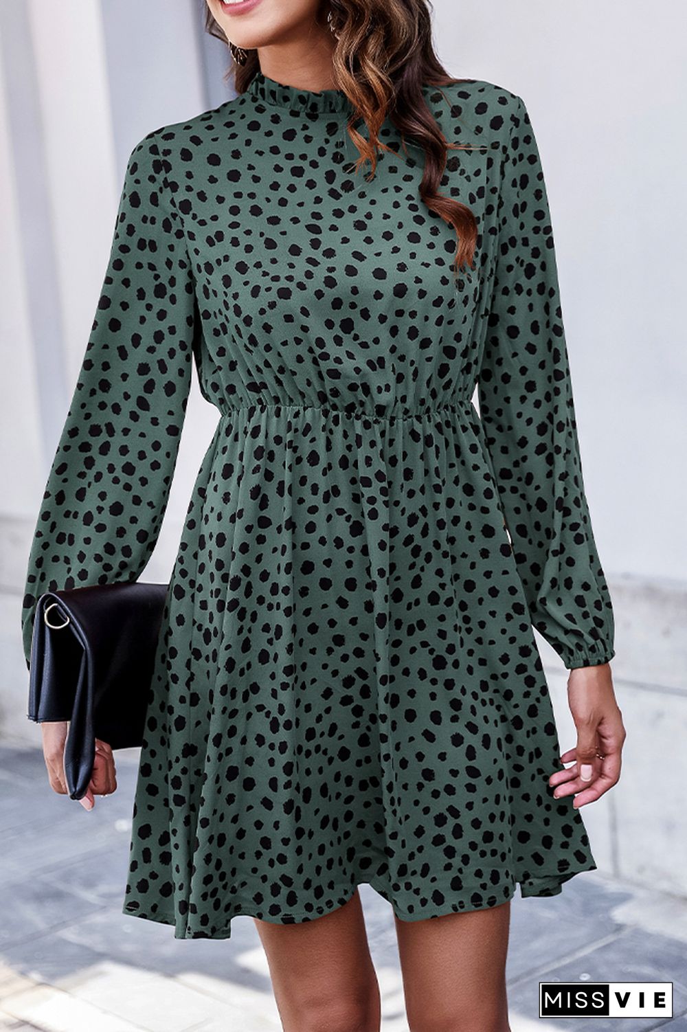 Leopard Print High Waist Swing Dress