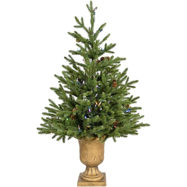 Fraser Hill Farm 3.0' Noble Fir Potted Tree