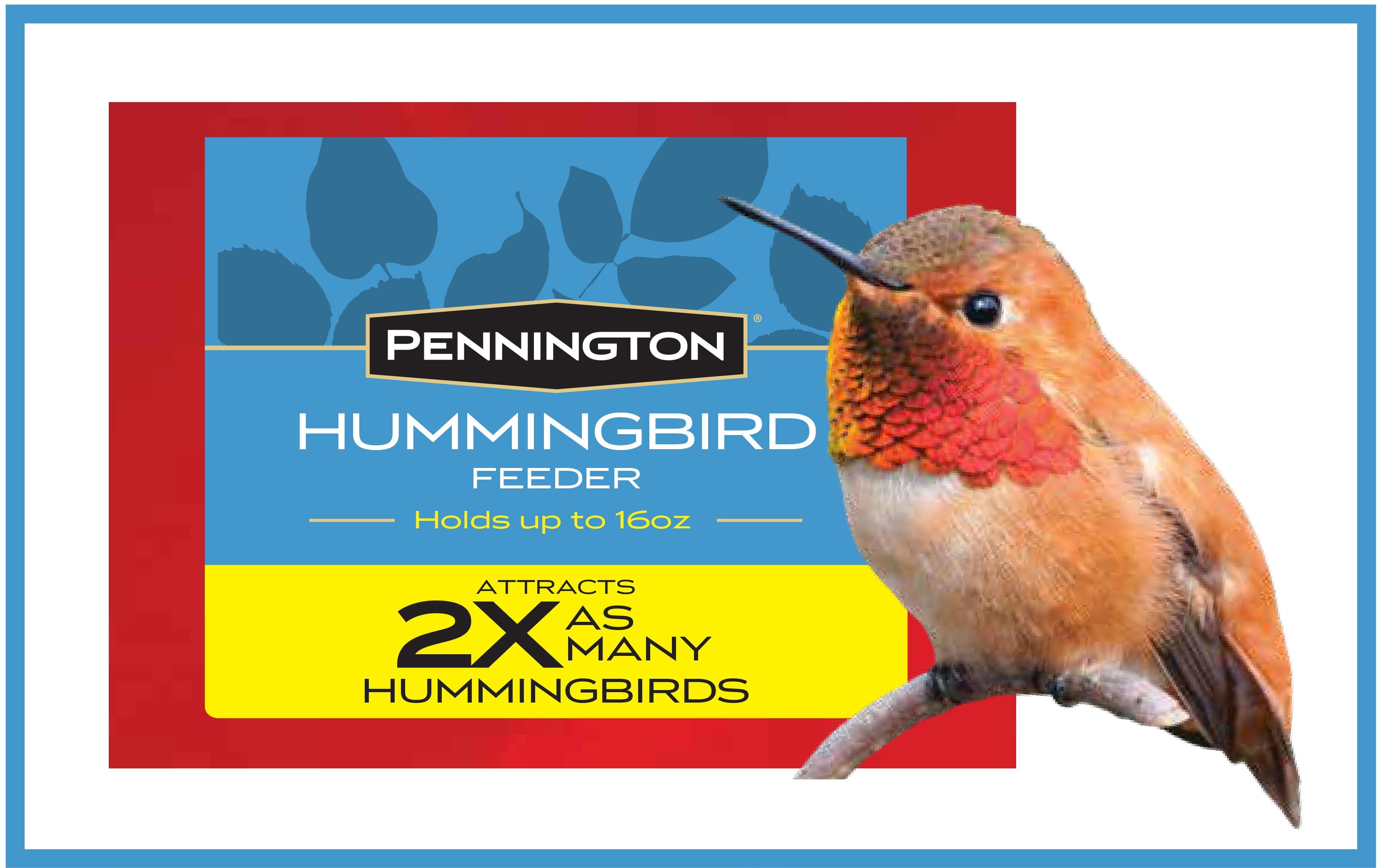 Pennington Glass Hummingbird Feeder， 16 oz Nectar Capacity