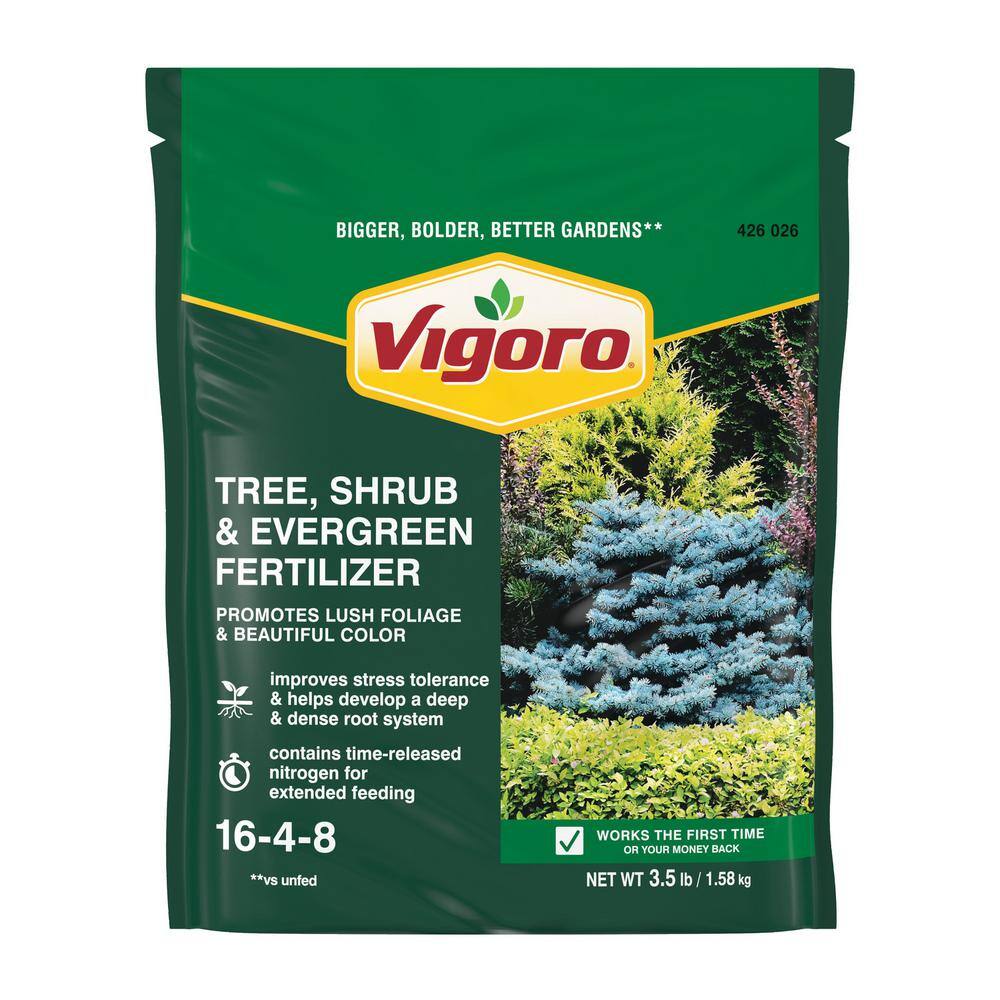 Vigoro 3.5 lb. All Season Tree Shrub and Evergreen Plant Food (16-4-8) 124260