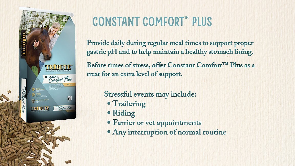 Tribute Equine Nutrition Constant Comfort Plus Gut Health Horse Supplement， 40-lbs bag