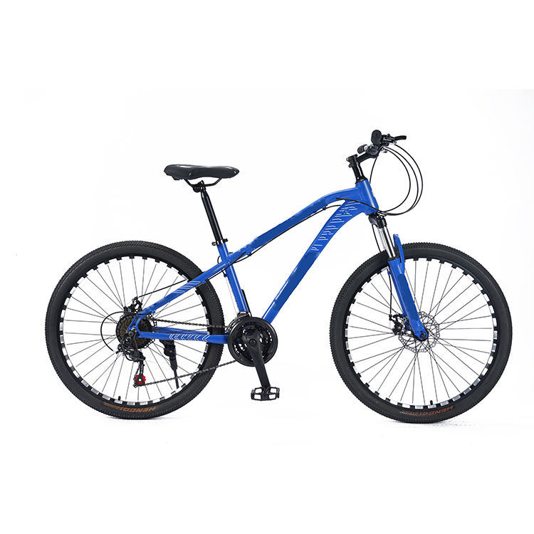 Factory Direct Carbon Fiber frame Mountain Bike 20 Inch 24 Speed Off road Mountain MTB Bicycle For Adults