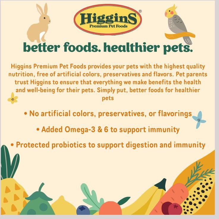 Higgins Sunburst Pineapple Banana Freeze Fruits for Small Animals