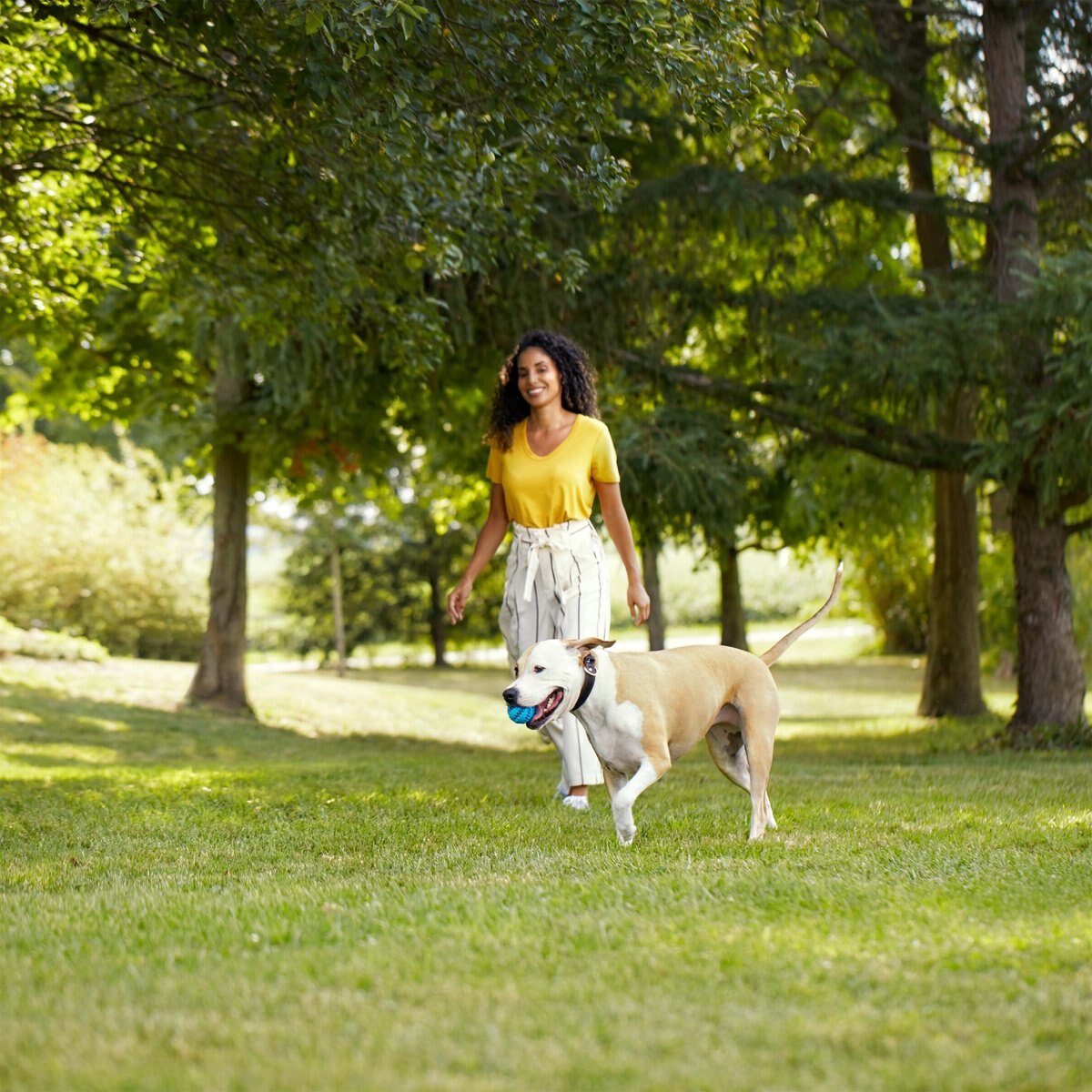 Rachael Ray Nutrish Real Chicken and Veggies Recipe Dry Dog Food