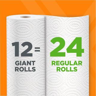 HDX Paper Towels (24-Roll) 22015