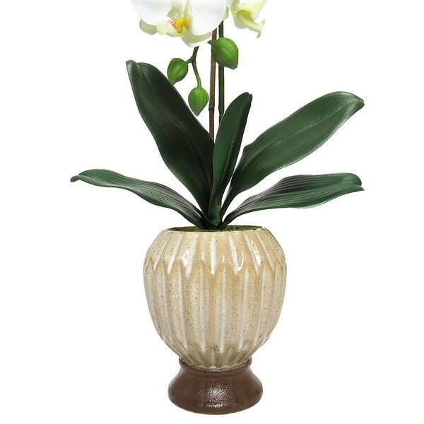 Cream White Artificial Phalaenopsis Orchid Flower Arrangement in Origami Ceramic Pot 24in