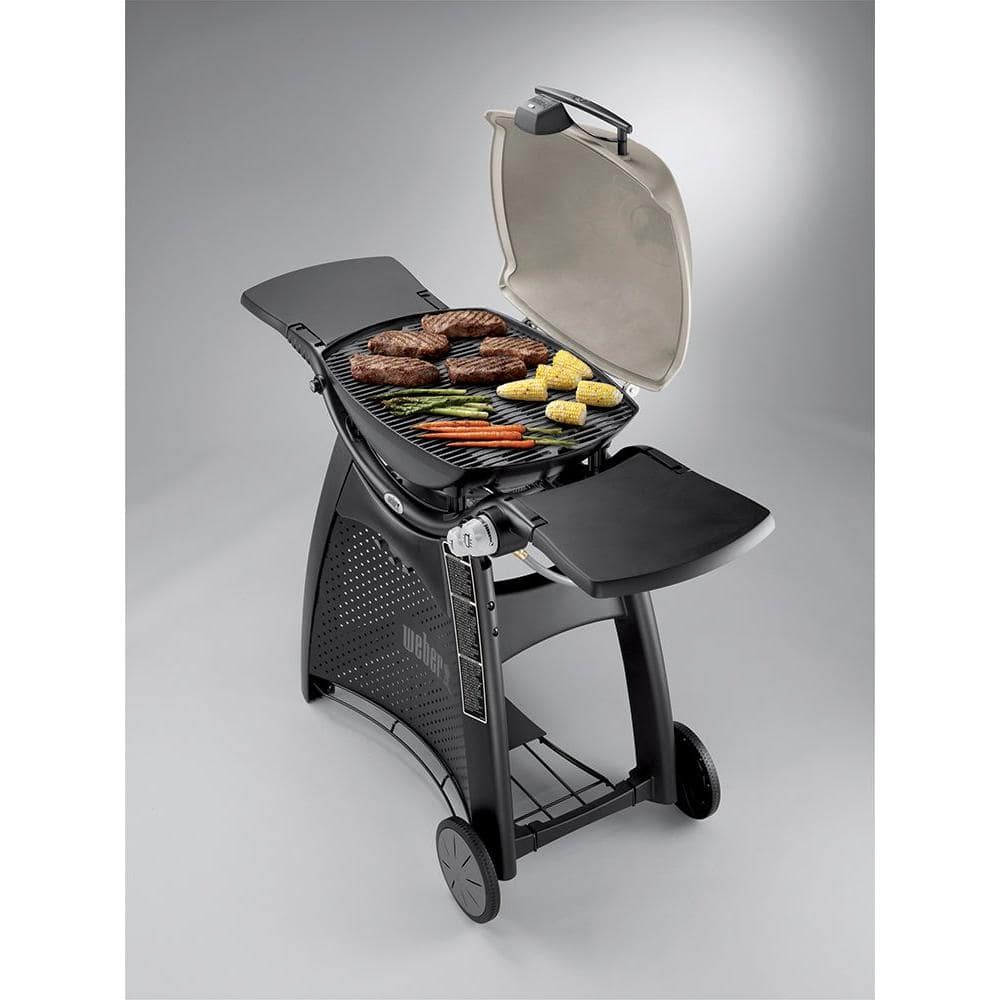 Weber Q 3200 2Burner Natural Gas Grill in Titanium with BuiltIn Thermometer