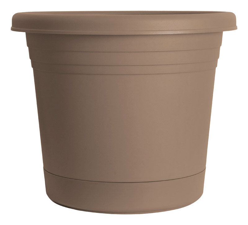 PLANTER RUGG CAP 12