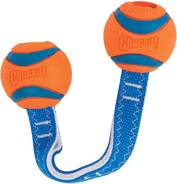 Chuckit! Ultra Duo Tug Tough Dog Toy