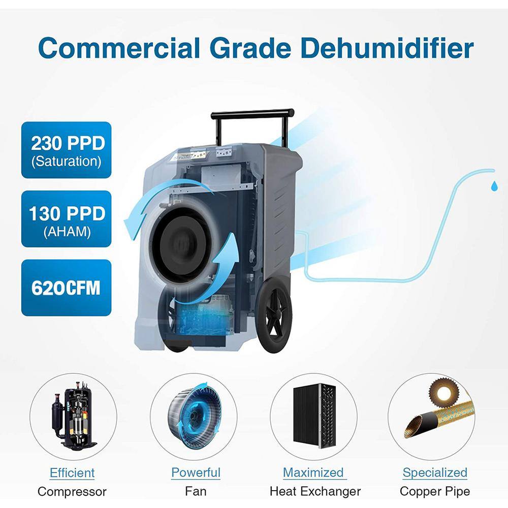 Edendirect 230 pt. 8000 sq.ft. Bucketless Commercial Dehumidifier in Blue with Drain Hose Rotomolded Case WE-OL230SP