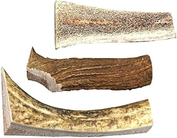 HOTSPOT PETS Split Medium Elk Antlers 5-6-in Dog Chew Treats