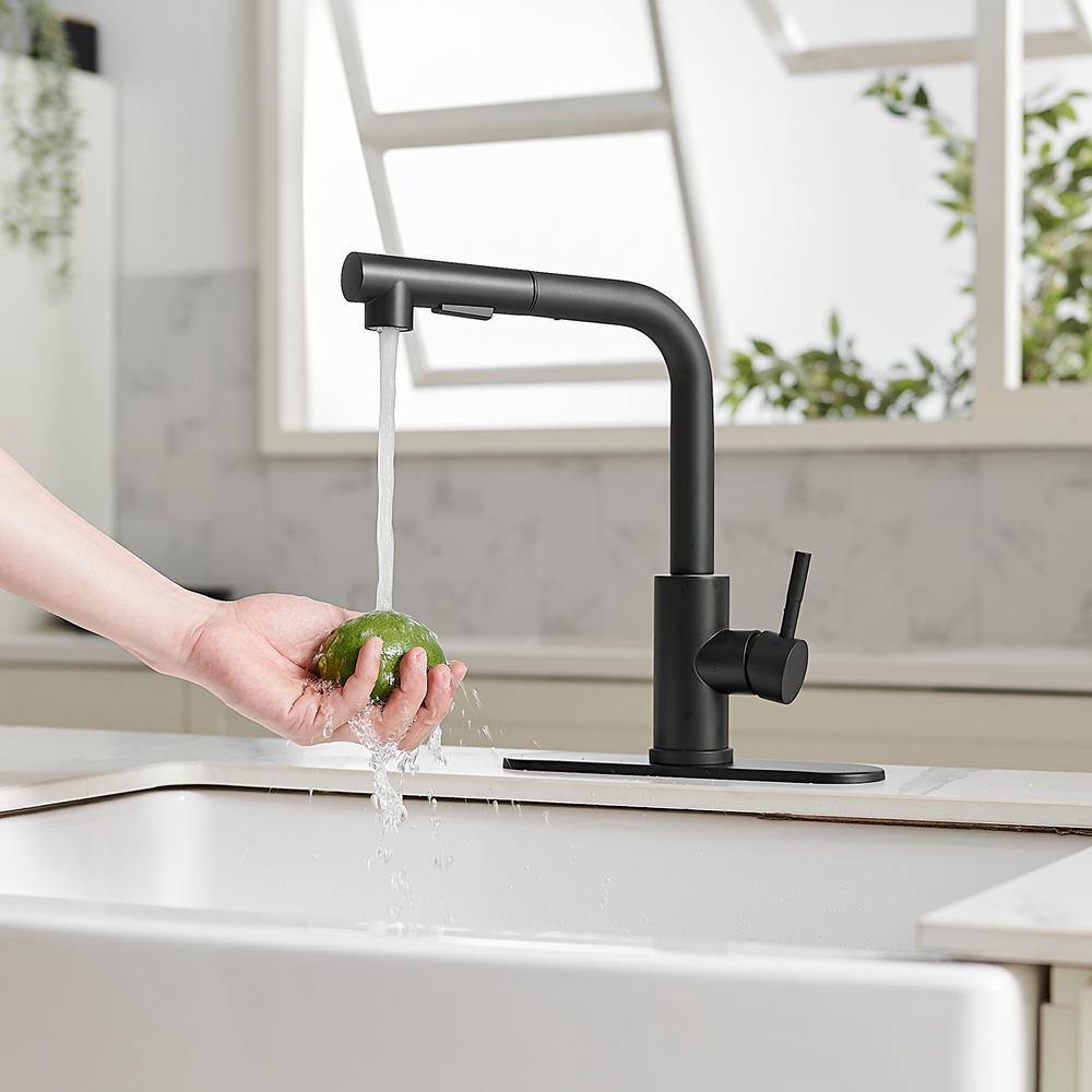 BWE 2 Sprayer Single Hole Single-Handle Pull Out Kitchen Faucet in Matte Black A-94020-Black