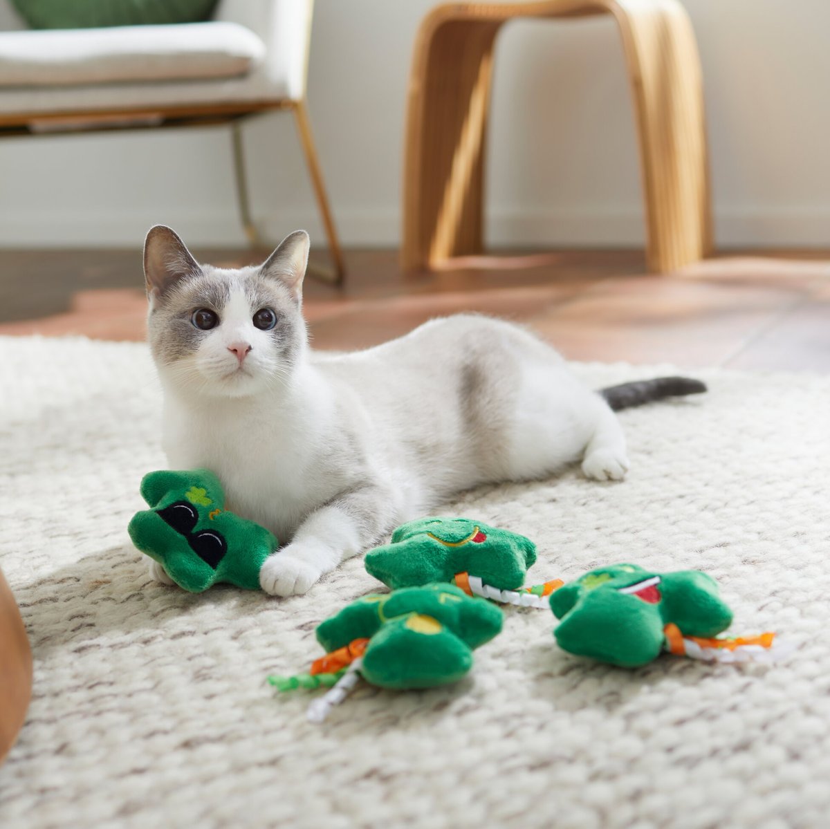 Frisco St. Patrick's Shamrocks Cat Toy with Catnip， 4 count