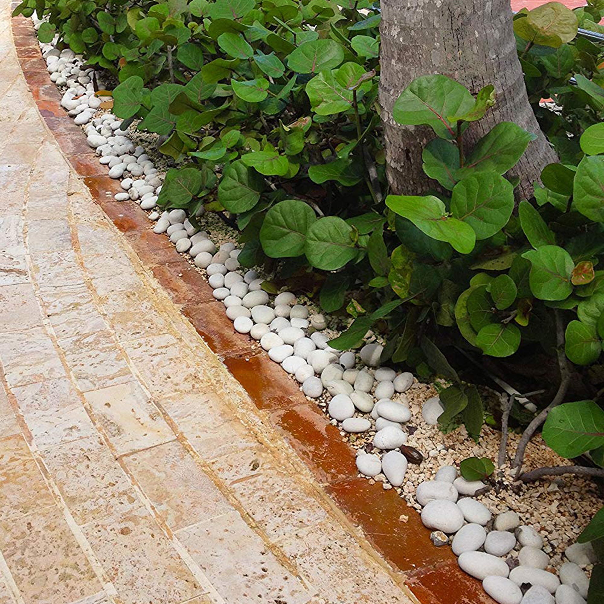 Rainforest, Outdoor Decorative Stones, Caribbean Beach Pebbles, White, 1-3