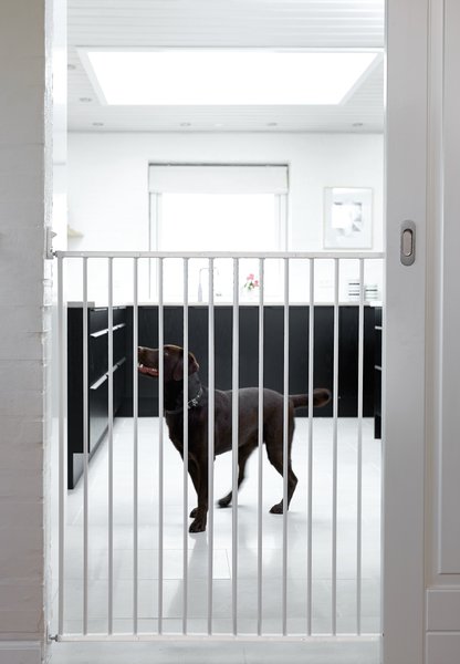 Scandinavian Pet Streamline Extra Tall Wall Mounted Dog Gate