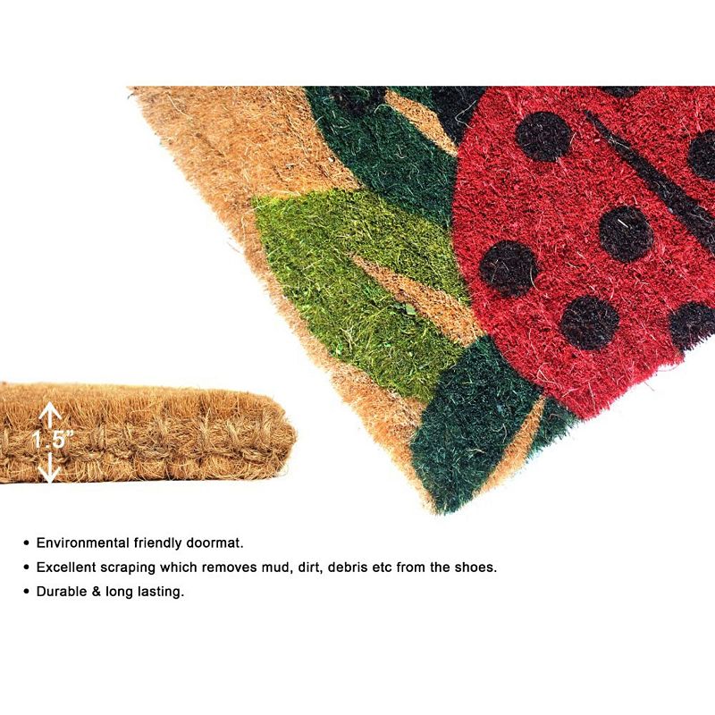 RugSmith Handloom Woven and Printed Ladybug Coir Doormat