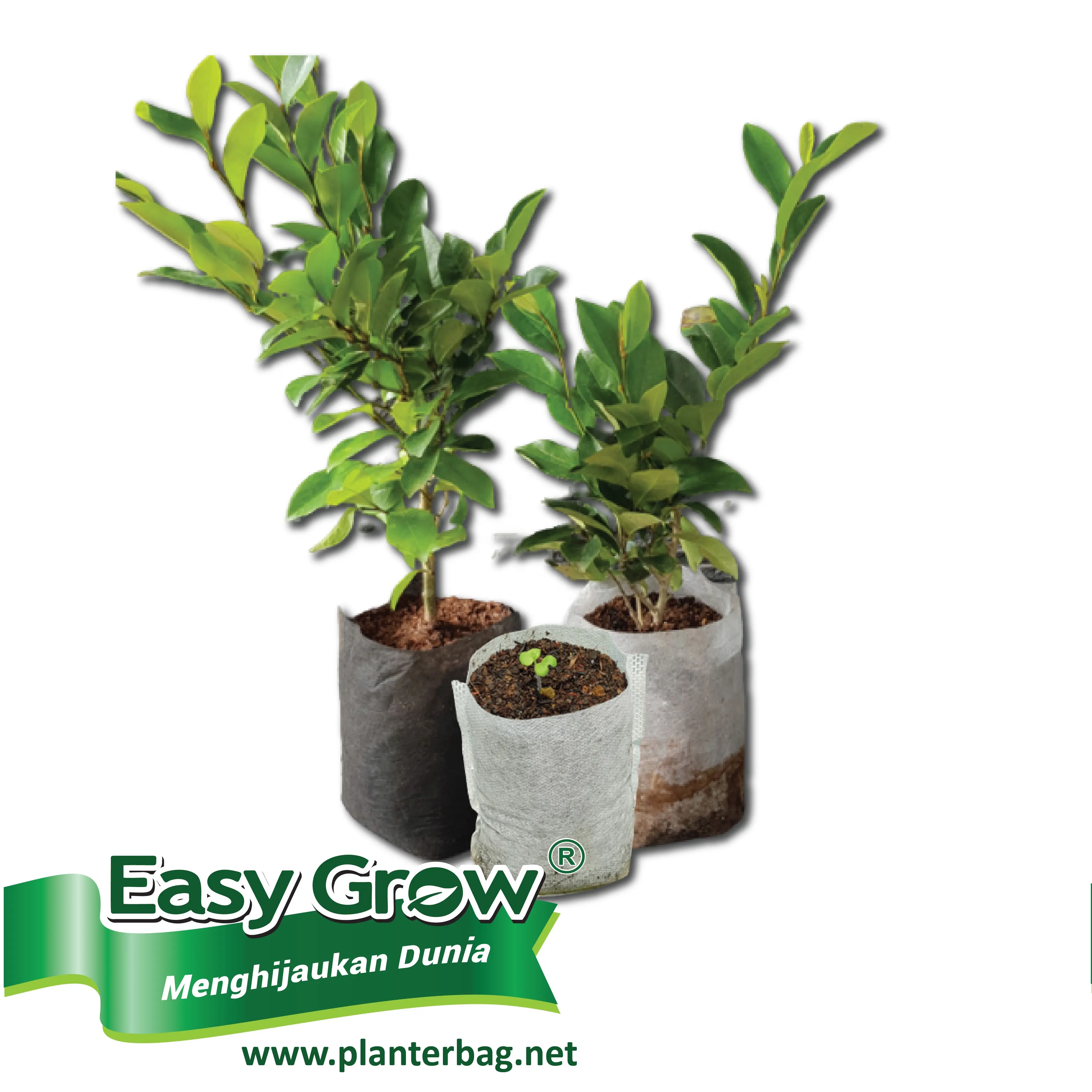 Nursery Plant Seedlings Grow Bag Non Woven Breathable Eco friendly  Size Black White Easy To Use