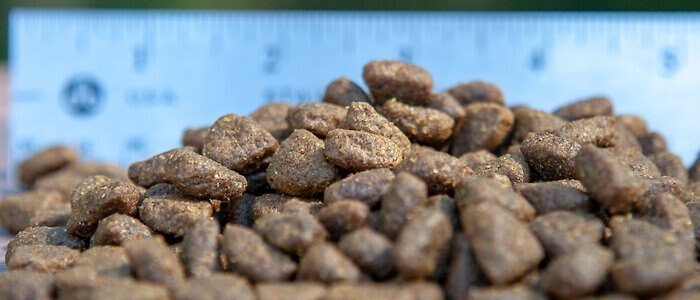 Blackwood Buffalo Meal and Field Pea Recipe Grain-Free Dry Dog Food