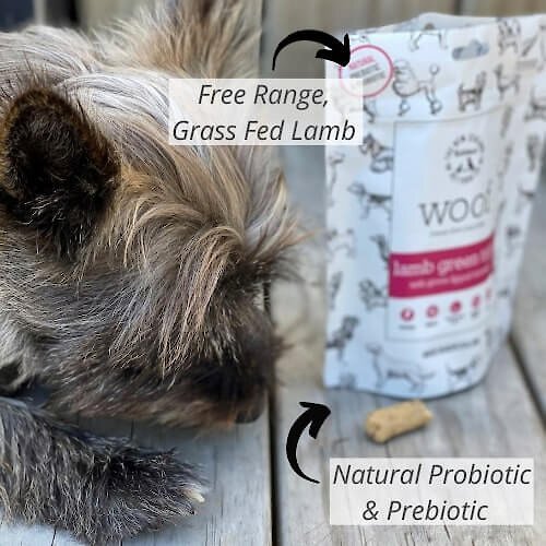 The New Zealand Natural Pet Food Co. Woof Lamb Green Tripe Freeze-Dried Dog Treats， 1.4-oz bag