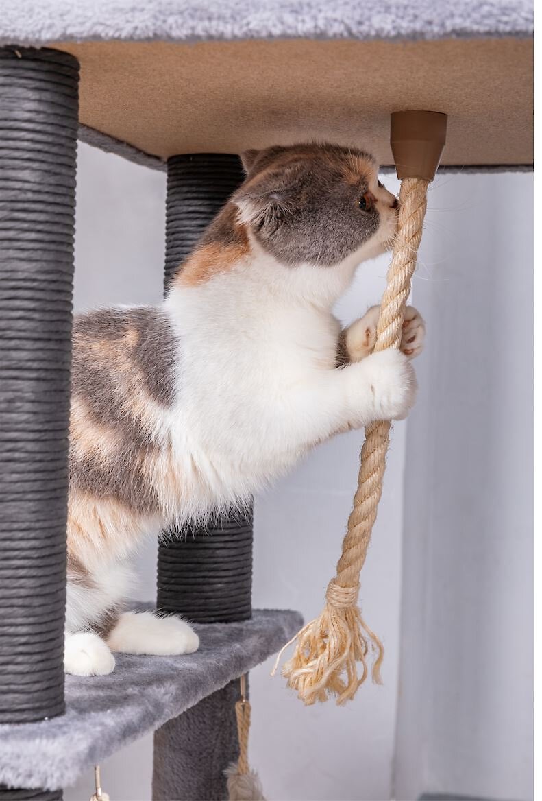 Catry 63-in Faux-Fur Cat Tree and Condo