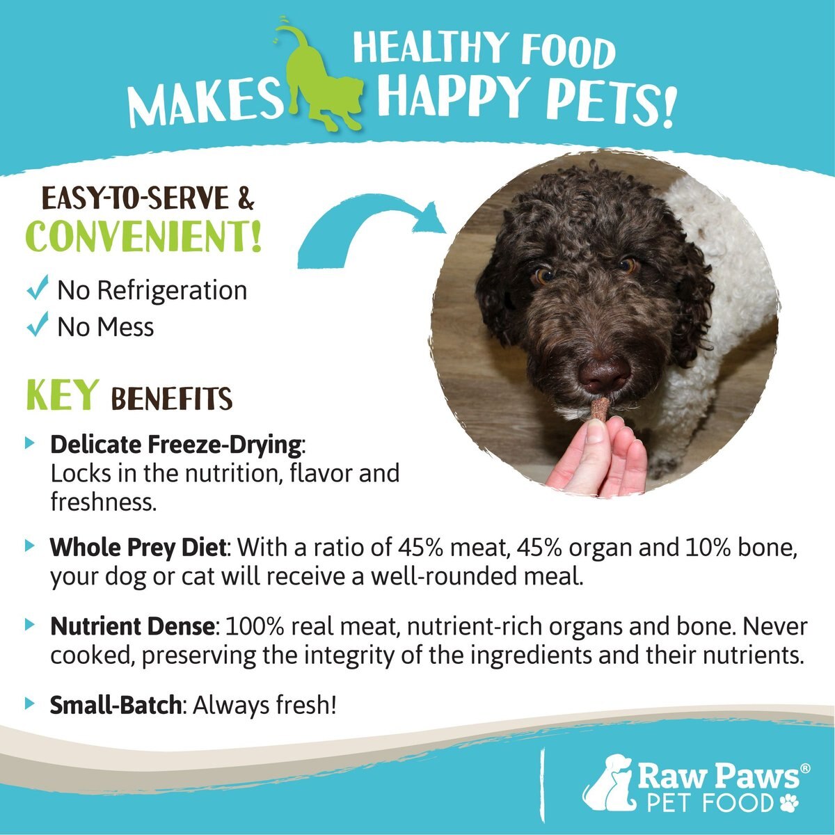 Raw Paws All Natural Freeze-Dried Grass-Fed Beef Recipe Dog and Cat Treats