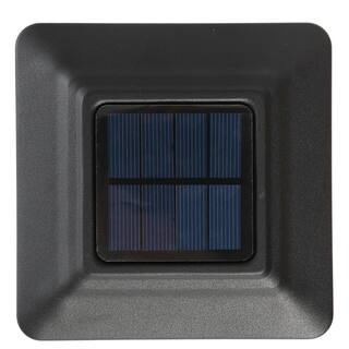 Hampton Bay Solar 15 Lumens Black Outdoor Integrated LED Path Light with Hammered Glass (4-Pack) WeatherWaterRust Resistant 93190