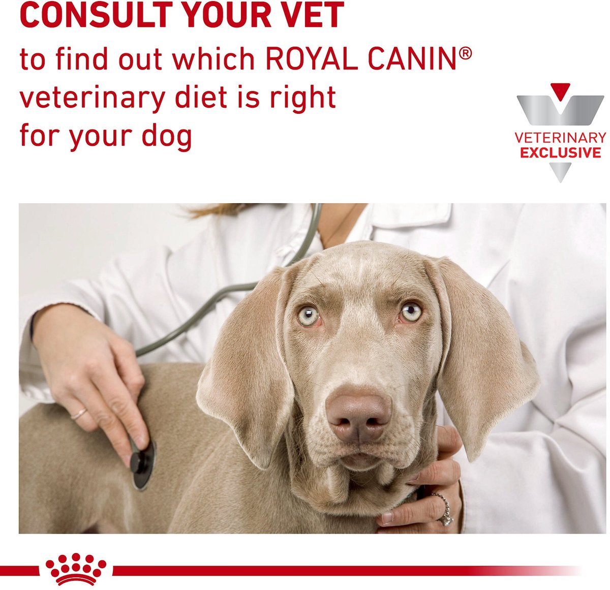 Royal Canin Veterinary Diet Adult Hepatic Dry Dog Food