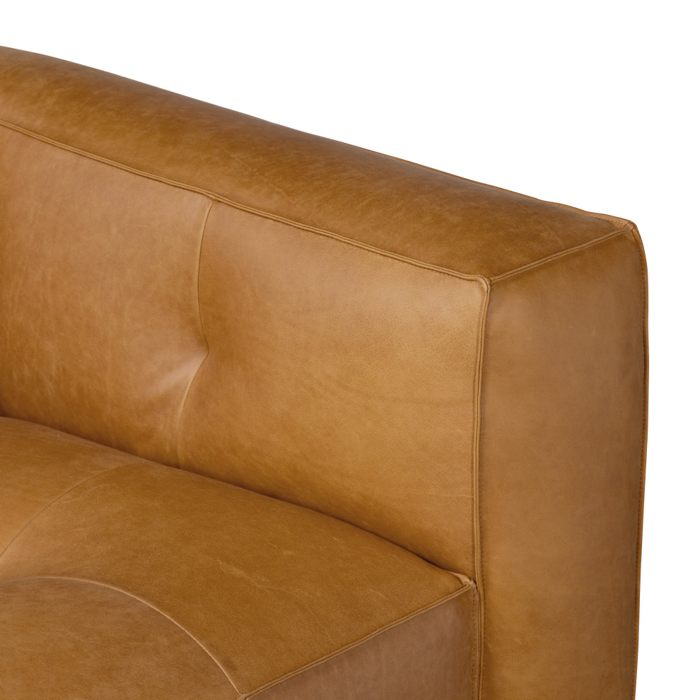 Poly and Bark Capa Sofa   Transitional   Sofas   by Edgemod Furniture  Houzz