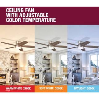 Hampton Bay Ashby Park 60 in. White Changing Integrated LED Matte White Indoor Ceiling Fan with Light and Remote Included 59268