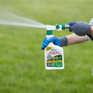 IMAGE Herbicides All-In-One Lawn Weed Killer Ready-To-Spray 100523494