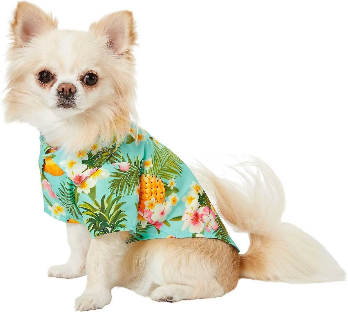 Frisco Pineapple Hawaiian Camp Dog and Cat Shirt