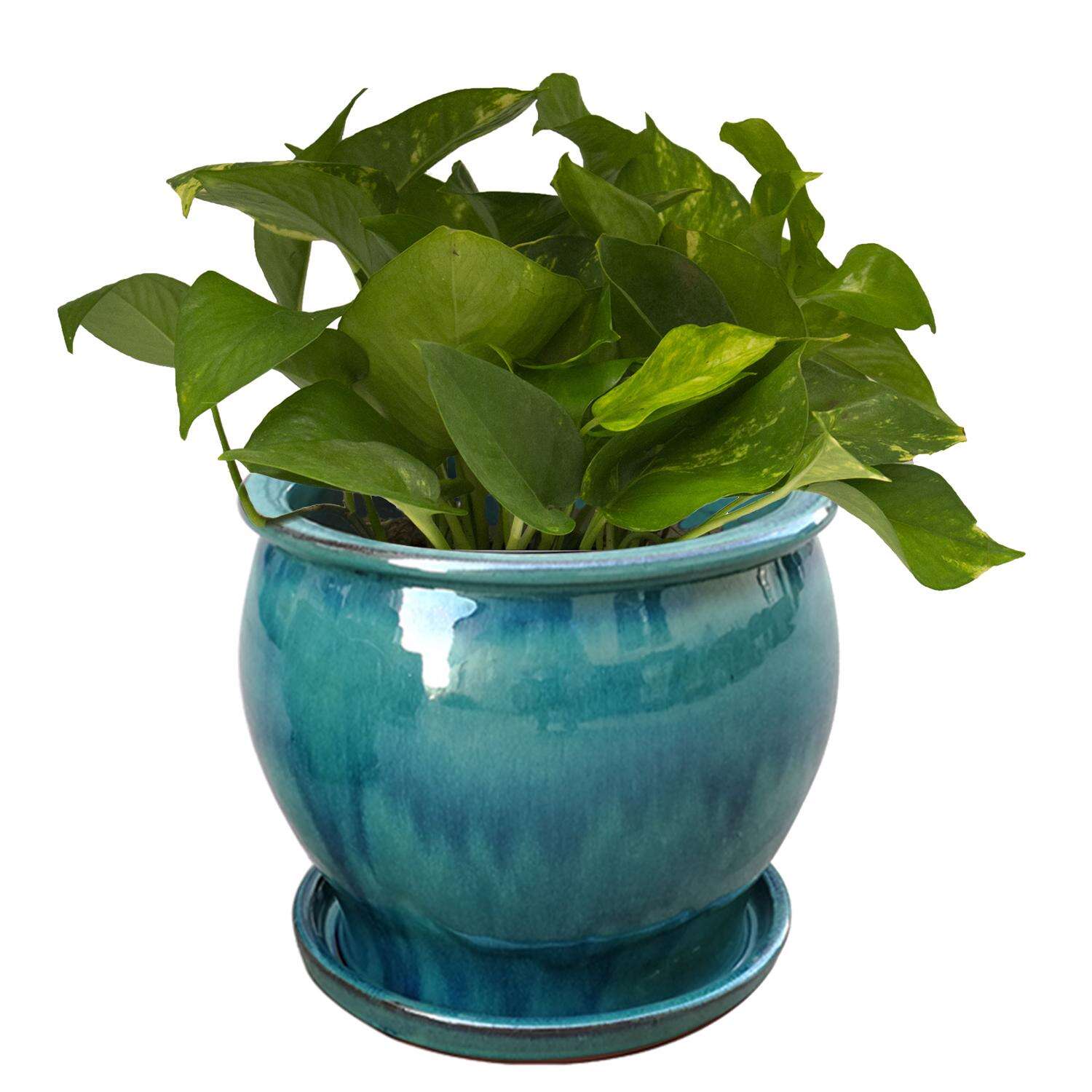 Trendspot Studio 6.3 in. H X 8 in. W X 8 in. D X 8 in. D Ceramic Planter Aqua