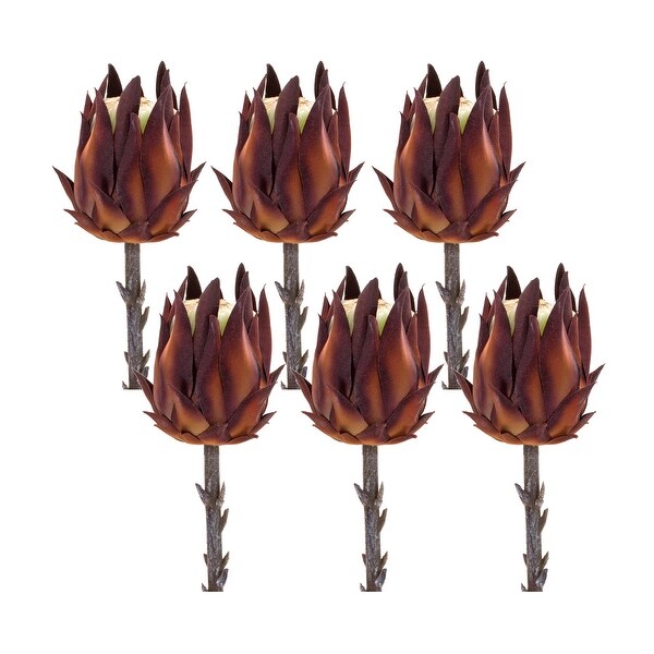 Protea Stem (Set of 6)