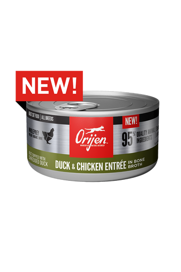 Orijen Duck and Chicken with Bone Broth Wet Cat Food