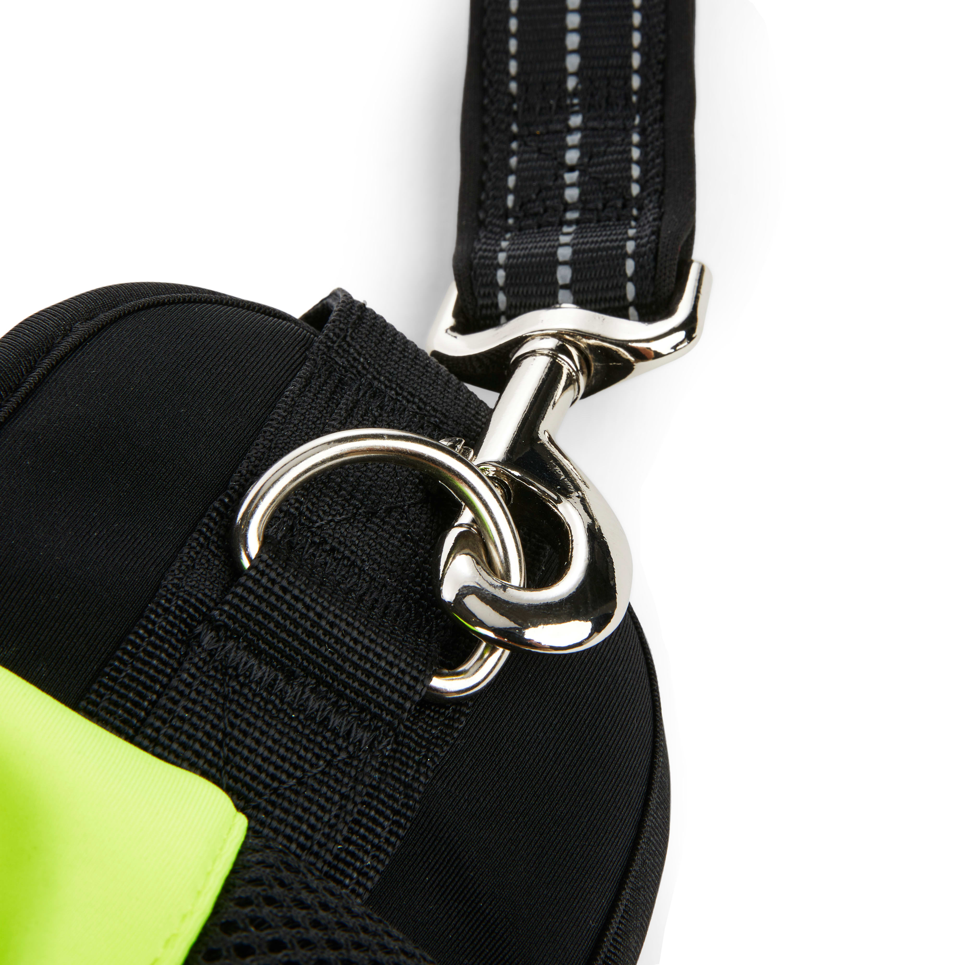 EveryYay Settin the Pace Yellow Running Belt  Leash Set for Dogs