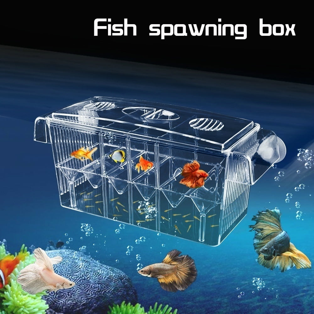 Willstar Fish Breeding Box， 4 Rooms Acrylic Fish Isolation Box with Suction Cups， Aquarium Acclimation Hatchery Incubator for Baby Fishes Shrimp Clownfish and Guppy