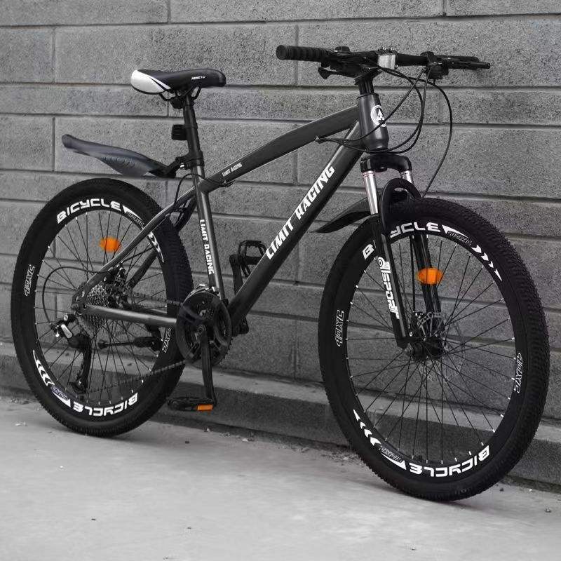 TOP Sales Vietnam market Factory Supply Cheap Price Steel Mountain Bike Adult Bicycle