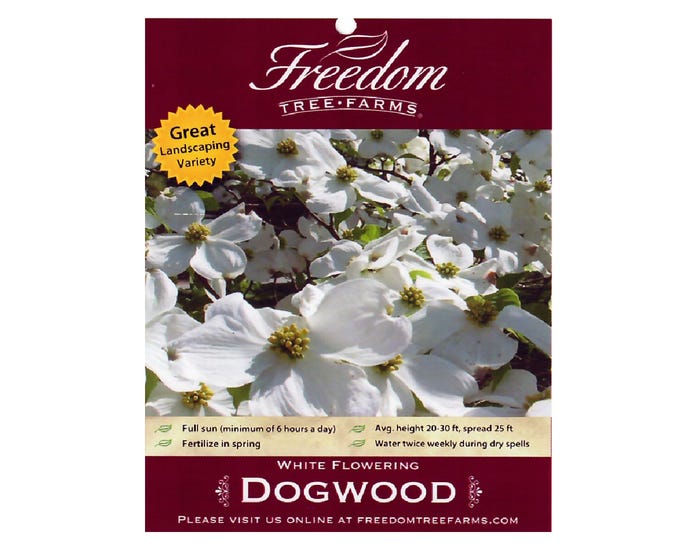 Freedom Tree Farms Super Princess Dogwood， 5 Gallon Pot