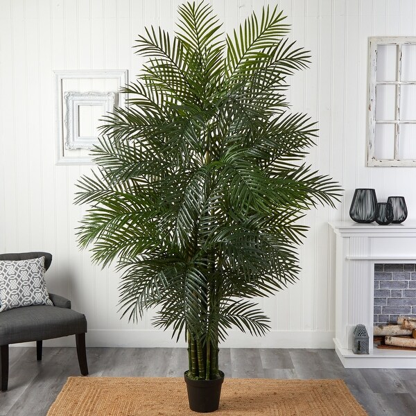 7.5foot Indoor/ Outdoor Areca Palm