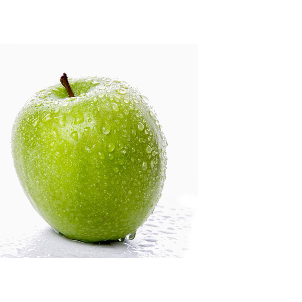 Online Orchards 3 ft. Granny Smith Apple Tree with Tart Green Fruit Best for Baking FTAP203