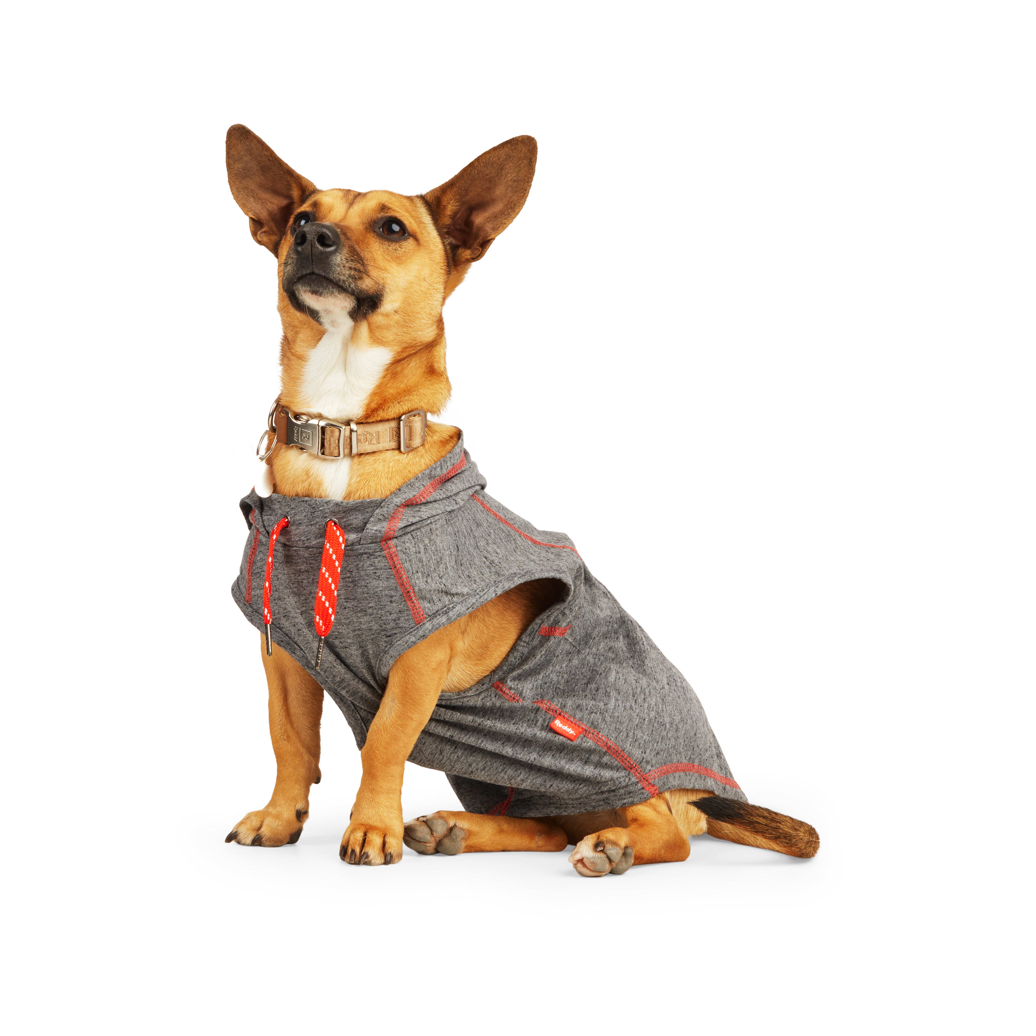 Reddy Black Hooded Tank for Dogs， X-Small